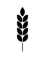  Wheat icon. Black silhouette wheats isolated on white background. Malt beer. Wheat ear. Barley or corn for flour print design. Millets symbol. Bluebunch pictogram. Gluten leaf. Vector illustration