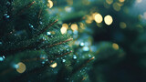Сhristmas tree background