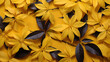 © Anum - yellow flowers HD 8K wallpaper Stock Photographic Image