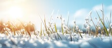 Snow And Grass Underneath The Warmth Of The Sun