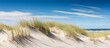 Generative AI image of a Ocean beach sand dunes with blue sky at the Danish coast line. , high-quality, free lens, clean, tidy