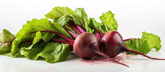 Poster - White background showcasing a vibrant beet accompanied by its lush foliage