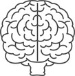 Brain front view, nervous system. Simple graphic style, line art vector illustration.