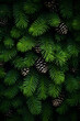 © linda_vostrovska - Fir branches and cones green needle abstract background Christmas texture. Vertical composition.