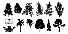 Tree Silhouette Collection, Vector Illustration.