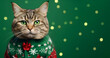 Cute cat in a Christmas sweater on a green background
