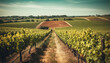 Sun kissed vineyards yield fresh grapes for Chianti winemaking industry generative AI