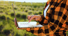 Close Up Of Farmers Woman Hands Taking Notes And Searches For Information In Laptop In Agricultural Field With Plants In Windy Weather On Sunset. Businesswoman Promptly Carries Out Online Deal To Sell