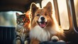 A cute dog and a cat are traveling by car with their family on weekend trip.