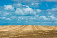 Grain Farm Against Blue Sky