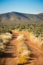 Red Dirt Road Through Green Scrub Leading To Mountain In Outback