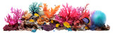 Fototapeta Do akwarium - Coral reef cut out