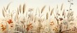 Wheat field in the spring with a blue sky. Texture as background wallpaper Banner  with copy space for text