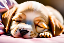 Dog Sleeping On The Bed
Generative AI
