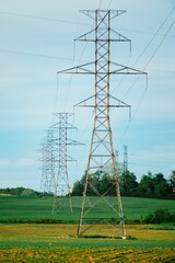 Rural landscape with electric power lines running on a grassy field with trees in the background