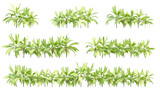 Fototapeta Sypialnia - 3d illustration of garden plants isolated on transparent background. High resolution for digital composition