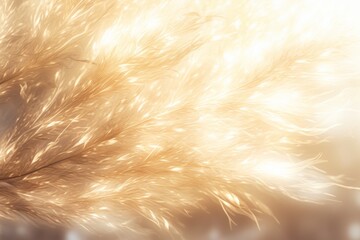  Ethereal golden feathers background, glowing light shines through, light and airy design
