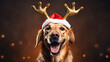 Joyful dog wearing a Santa hat and faux reindeer antlers against a blurred background, embodying a festive and playful spirit.