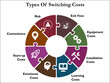 © Skyline Graphics - Types of switching costs. Infographic template with icons
