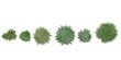 © Saifstock - set of Common wormwood,Dill,Silver mound,Pine,fir tress rendered from the top view, 3D illustration, for digital composition, illustration, 2D plans, architecture visualization