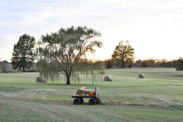 Sticker - Hay Bales in a Farm Field