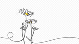 Fototapeta Natura - Continuous one line drawing of beautiful wild flowers chamomile vector design. Single line art illustration of nature landscape with beautiful field meadow flowers daisy on transparent background