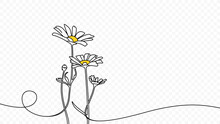 Continuous One Line Drawing Of Beautiful Wild Flowers Chamomile Vector Design. Single Line Art Illustration Of Nature Landscape With Beautiful Field Meadow Flowers Daisy On Transparent Background