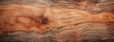 Fototapeta Las - Sliced baobab tree trunk. Close-up wood texture.