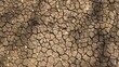 barren dry soil with cracked crust as a natural background on the theme of climate change and drought in agriculture, graphic texture of dried out earth in cracks in sunlight