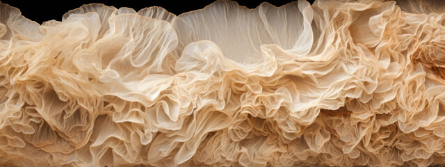 Close-up of mycelium texture.