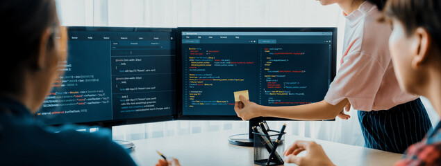 Closeup skilled young female programer present program coding and sharing programing idea while manager listening carefully.at modern office company. Java script, web design concept. Burgeoning.