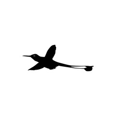 Flying Hummingbird Silhouette, can use Art Illustration, Website, Logo Gram, Pictogram or Graphic Design Element. Vector Illustration