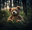 teddy bear on the grass