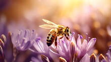 Bee And Beautiful Purple Flower Spring Summer Season