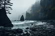 Pacific Northwest Coastal Landscape