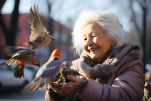 Elderly Woman Feeding Group Of Birds In The Park.