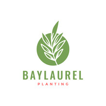 Leaf Bay Laurel With Circle Simple Plant Florist Botanical Logo Design Vector Icon Illustration