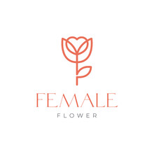 Flower Rose Love Plant Line Style Simple Feminine Beauty Florist Botanical Logo Design Vector Icon Illustration