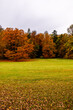 Kurze Herbstwanderung durch den Schlosspark Rosenau mit dem schönen Schloss Rosenau bei Coburg - Rödental - Bayern - Deutschland