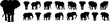 Set of elephant silhouettes in different poses of african elephant or jungle elephant and asian elephant with big ears - vector illustration.