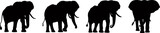 Fototapeta Pokój dzieciecy - Set of elephant silhouettes in different poses of african elephant or jungle elephant and asian elephant with big ears - vector illustration.