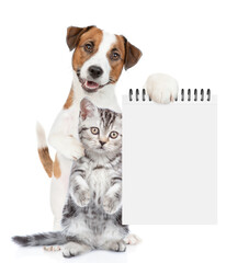 Poster - Smart Jack russell terrier puppy hugs tabby kitten and shows empty list. isolated on white background