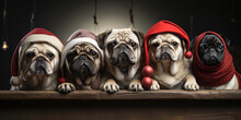  Funny Cute Pugs Wearing Christmas And Winter Hats 