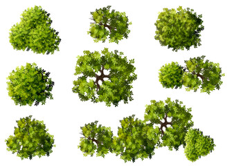 Wall Mural - vertor set of green tree,plants top view for landscape plan,schematic layout,eco environment concept