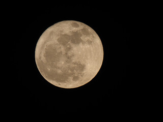 Wall Mural - full moon seen with telescope