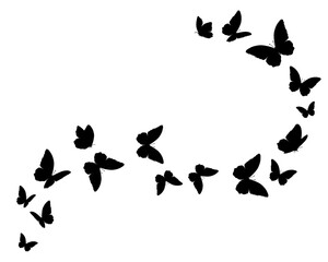 Wall Mural - silhouette of butterflies