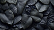 © Katrin_Primak - black and dark leaves - desktop wallpaper, screensaver
