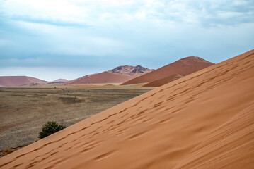  45 sand dune in the Namib desert
