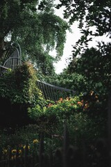 Wall Mural - Scenic shot of a bridge surrounded by lush green foliage