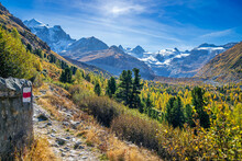 Wanderweg Im Herbstlichen Val Roseg, Pontresina, Engadin, Kanton Graubünden, Schweiz,